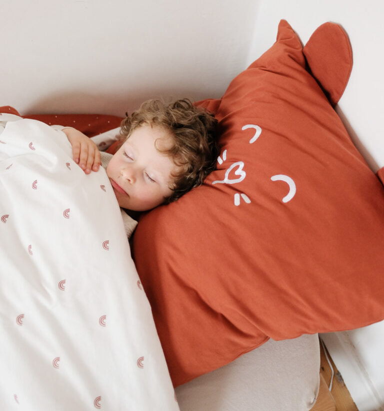 Ensemble Couette Enfant 100x135cm + Oreiller 40x60cm - 4 Saisons Hypoallergénique Oeko-Tex - LaLoona
