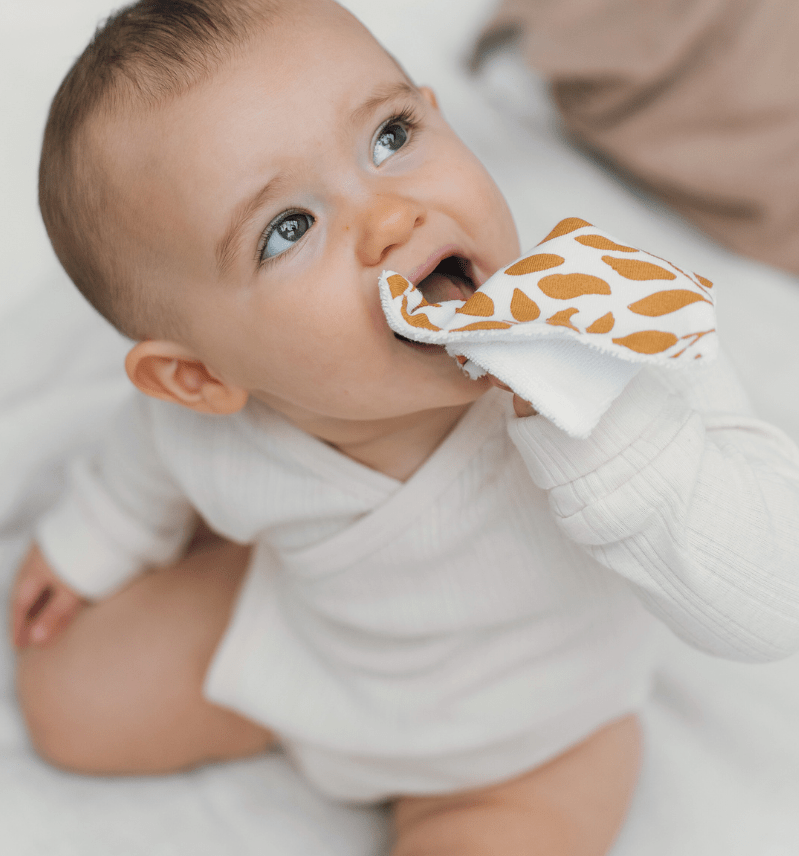 Lingettes_bebe_coton